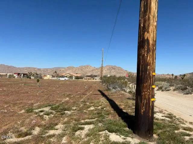 0 Buena Vista Road, Lucerne Valley, CA 92356 - #2