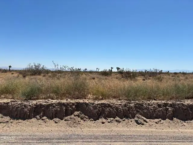 0 Caughlin Road, Phelan, CA 92371 - #2