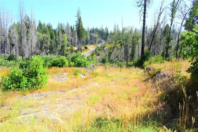 0 Oak Drive, Berry Creek, CA 95916 - #2