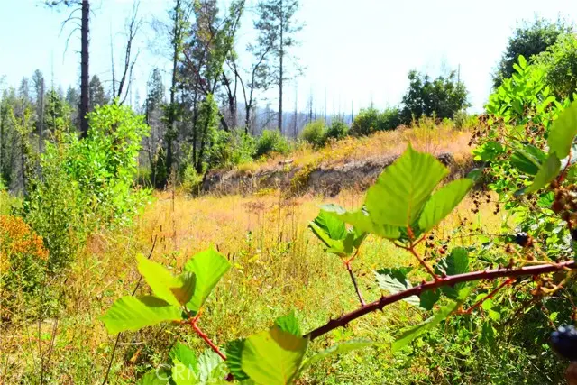 0 Oak Drive, Berry Creek, CA 95916 - #3