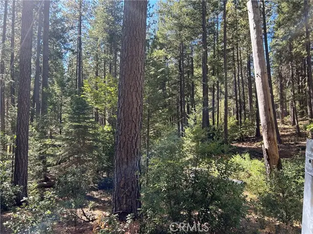 0 coutelenc, Magalia, CA 95954 - #3