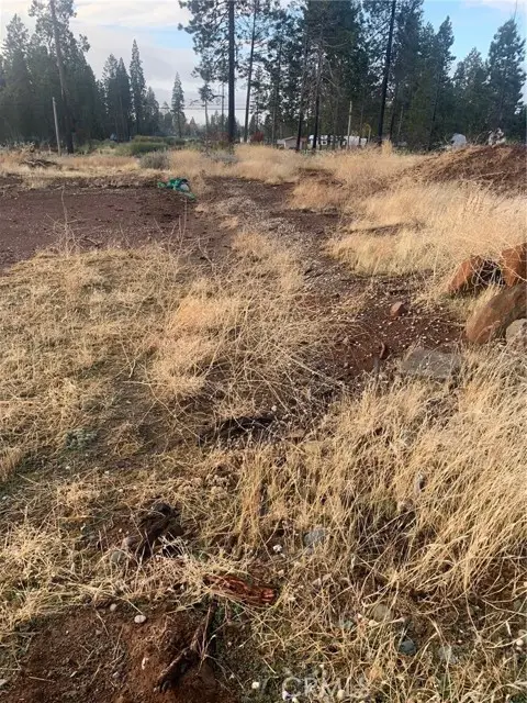 6456 Shaw Circle, Magalia, CA 95954 - #2