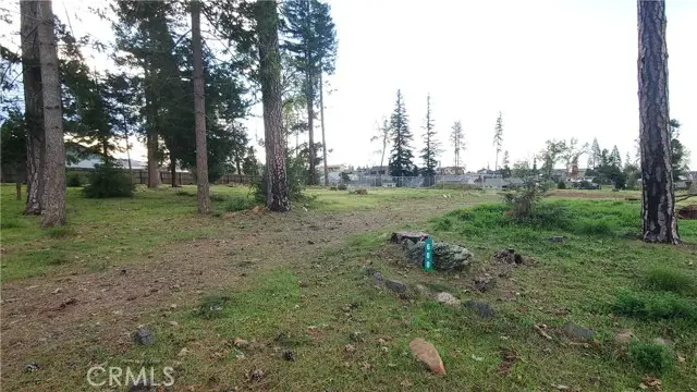 600 Bille, Paradise, CA 95969 - #2