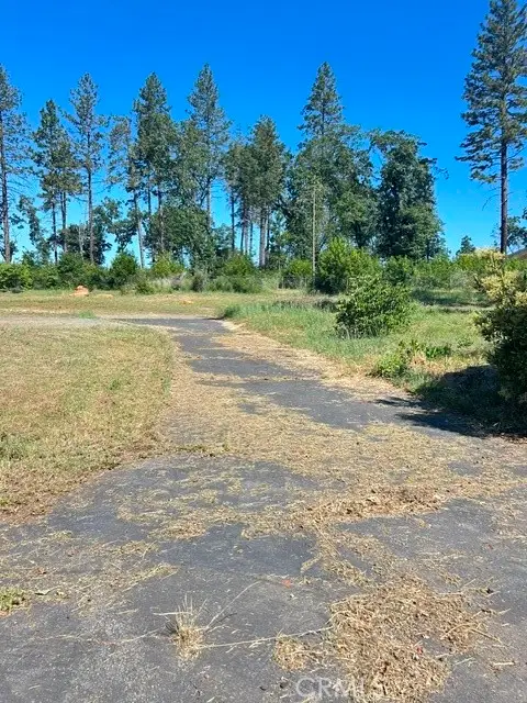 1345 Manahattan, Paradise, CA 95969 - #3