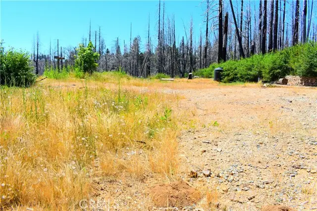 461 Milsap Bar, Berry Creek, CA 95916 - #2