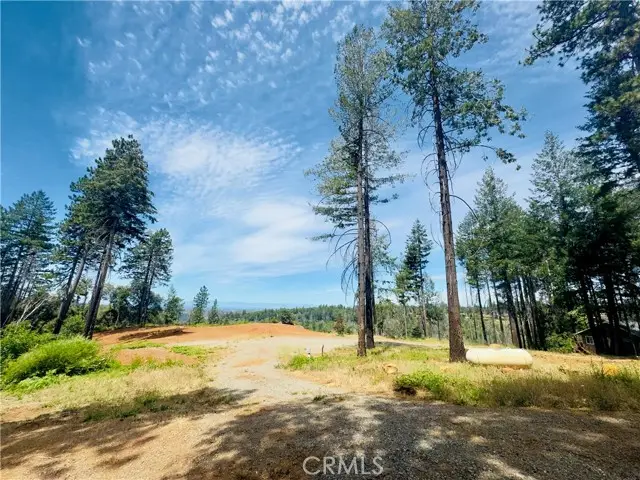1400 Bader Mine, Paradise, CA 95969 - #3