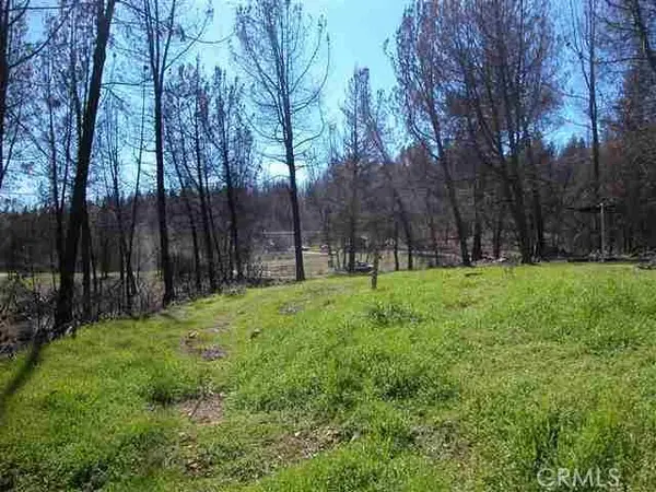 0 buchner, Berry Creek, CA 95916