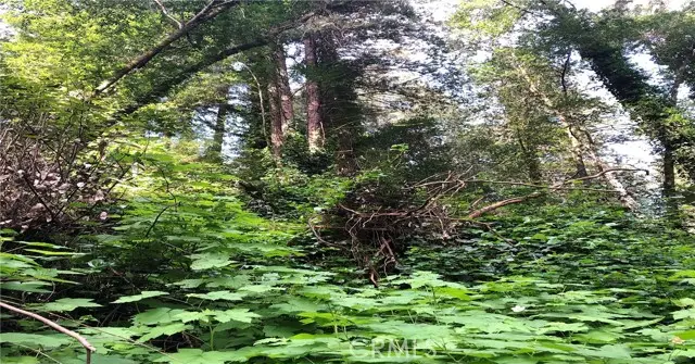 18176 HWY 116, Guerneville, CA 95446 - #2