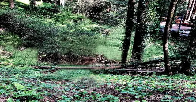 18176 HWY 116, Guerneville, CA 95446 - #3