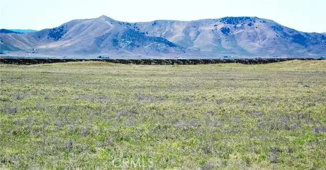 13250 Calipatria Road, Santa Margarita, CA 93453 - #3