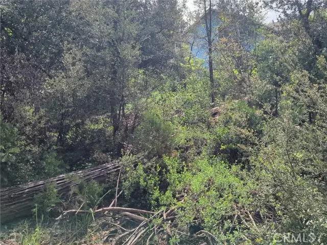 53309 Road 432, Bass Lake, CA 93604 - #1