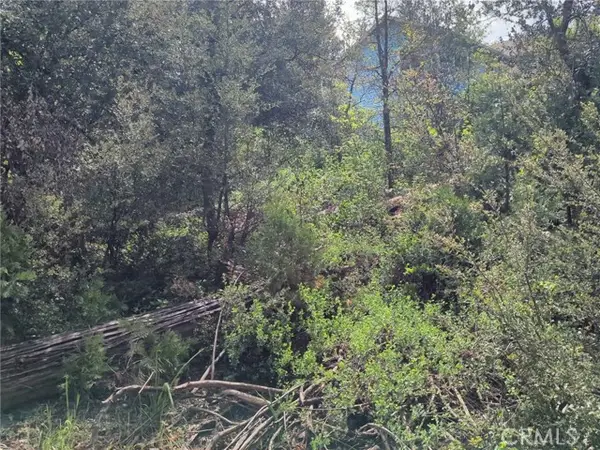 53309 Road 432, Bass Lake, CA 93604