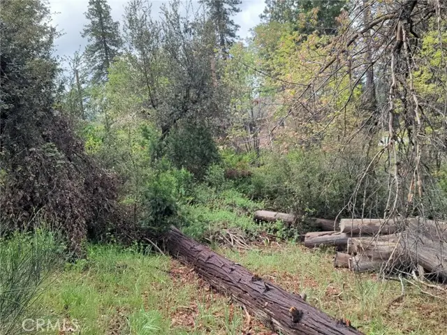 53309 Road 432, Bass Lake, CA 93604 - #2