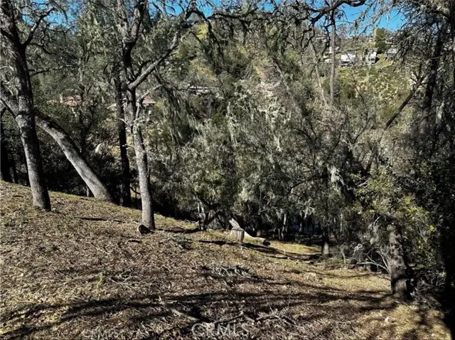 8209 Woody Point, Bradley, CA 93426 - #2