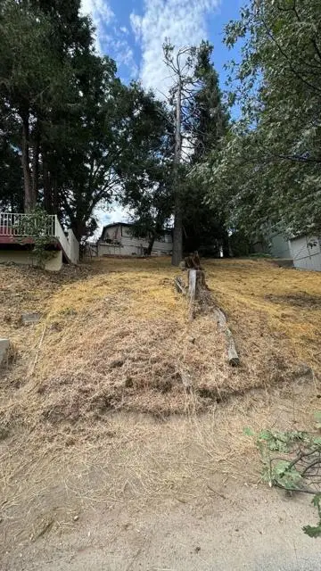 Lakeview Dr, Cedar Glen, CA 92321 - #2