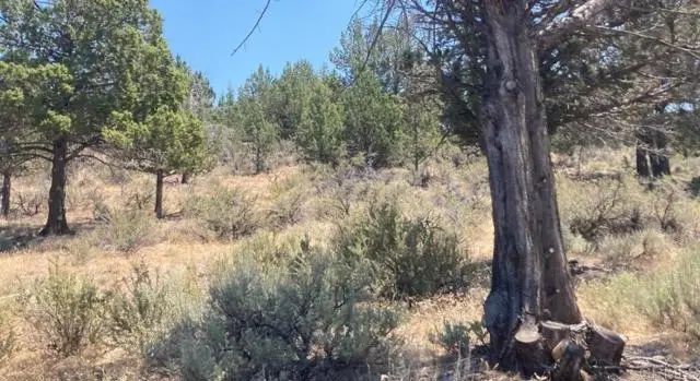 0 Glacier Dr Lot 12, Alturas, CA 96101 - #3