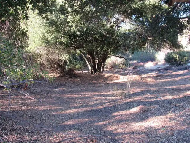 2115 Campo Truck Trail, Campo, CA 91906 - #1