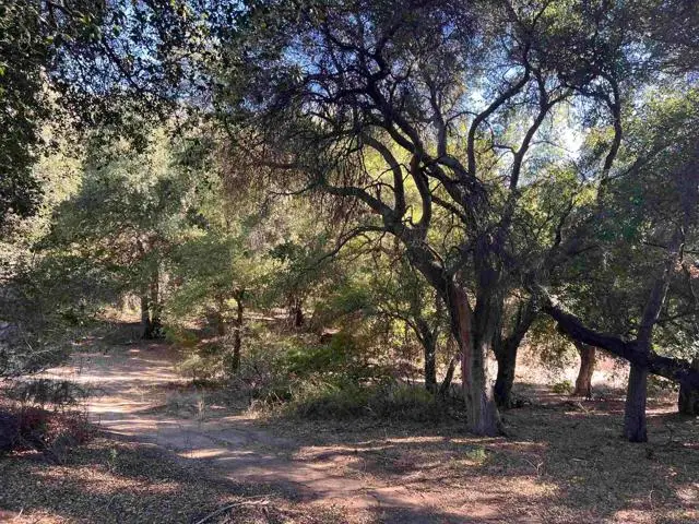 2115 Campo Truck Trail, Campo, CA 91906 - #3