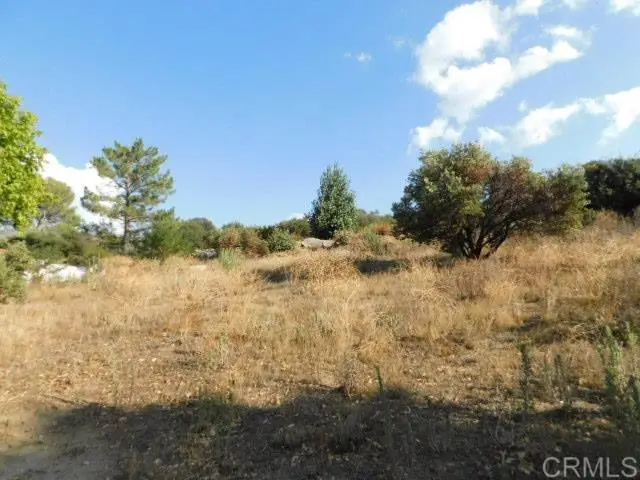 29949 Canadian Honker Road, Campo, CA 91906 - #2