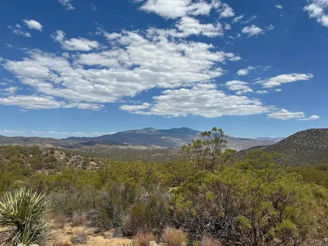 59675 Upper Tule Road, Anza, CA 92539 - #1