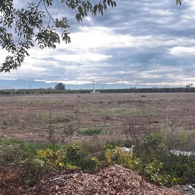 39088 Road 104 Dinuba, CA Road, Dinuba, CA 93618 - #1
