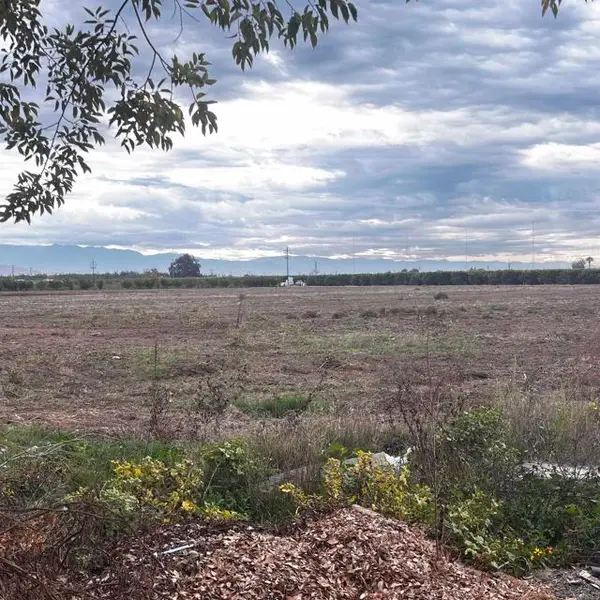 39088 Road 104 Dinuba, CA Road, Dinuba, CA 93618