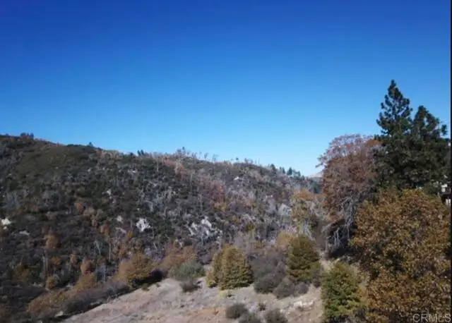 1036 Brentwood Drive, Lake Arrowhead, CA 92352 - #3