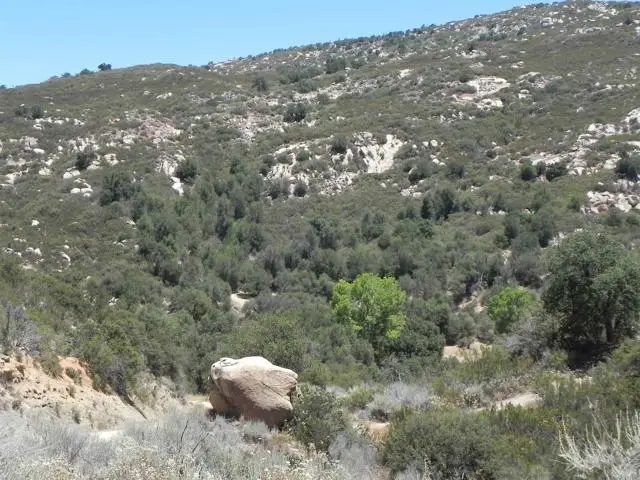 9779 Deer Valley Trail, Descanso, CA 91916 - #2