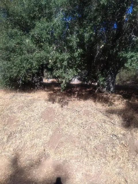 0 Valley View Trail, Pine Valley, CA 91962 - #1