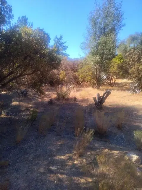 0 Valley View Trail, Pine Valley, CA 91962 - #3