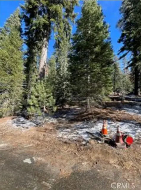 57793 Fawn Drive, Springville, CA 93265 - Image #3