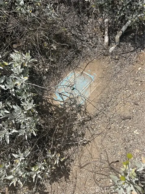 0 AP# 427-350-007, Nuevo, CA 92567 - #2