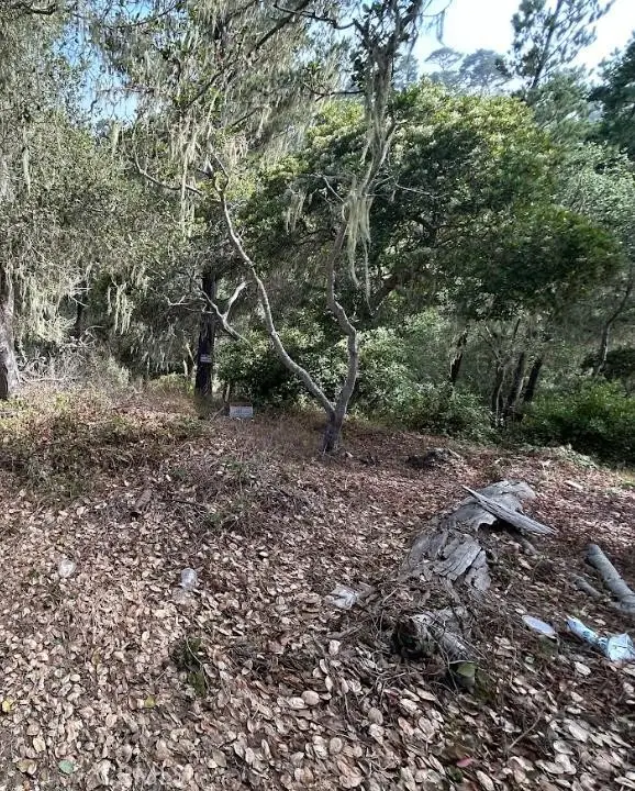 2812 Ramsey Road, Cambria, CA 93428 - #1