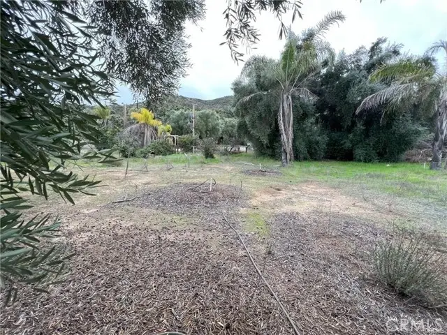 #3