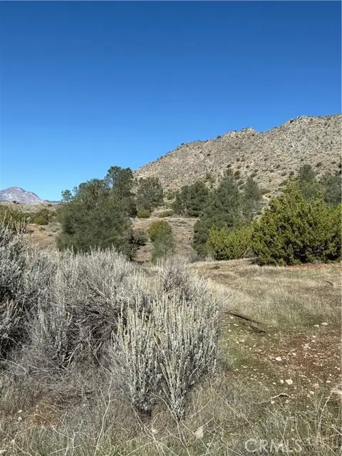 116 Parcel map, Bodfish, CA 93205 - #3