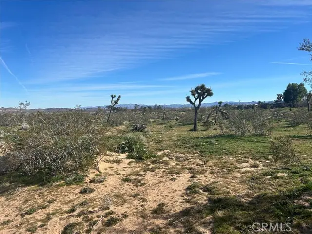 55725 Napa, Landers, CA 92285 - #1