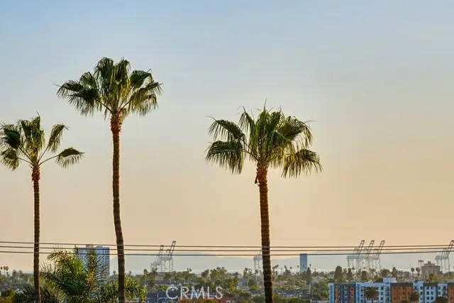 2101 21st  #306, Signal Hill, CA 90755 - #3