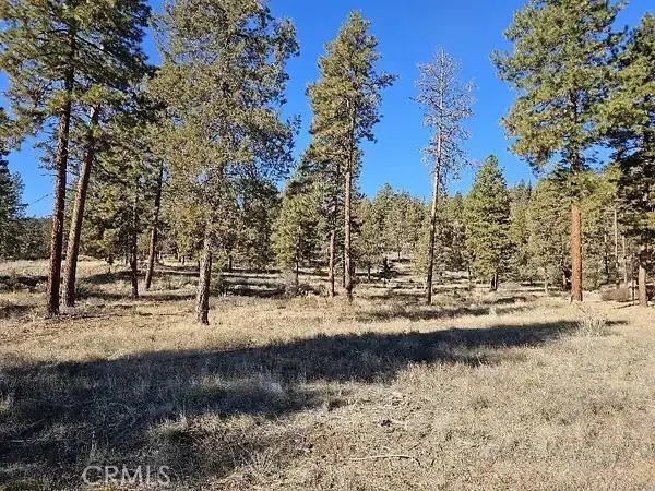0 Susquehanna Road, Dorris, CA 96023 - #2