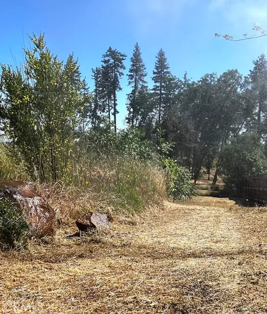 1318 Pearson Road, Paradise, CA 95969 - #3