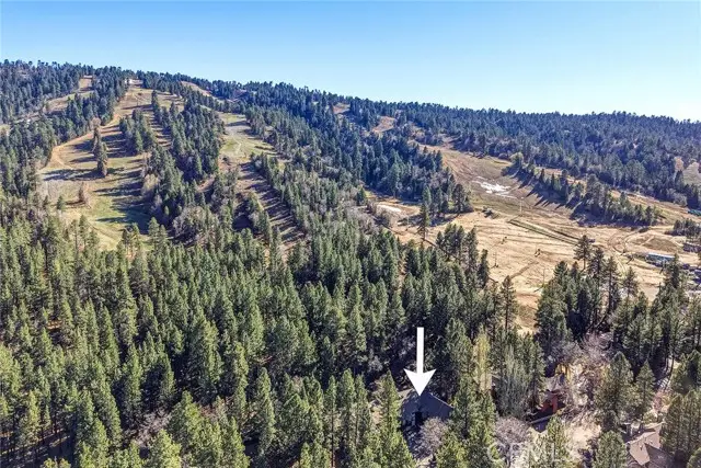 41935 Switzerland, Big Bear Lake, CA 92315 - #2