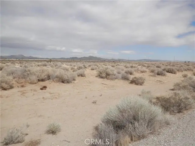 0 Gaskell Road, Rosamond, CA 93560 - #3