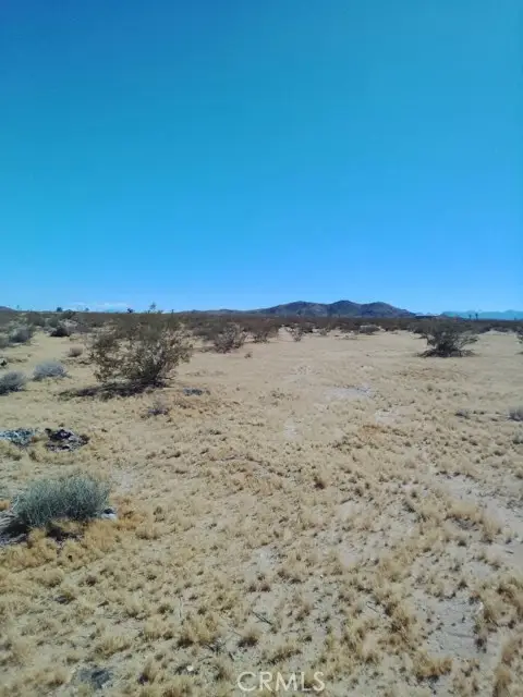 60731 Summers, Landers, CA 92285 - #2