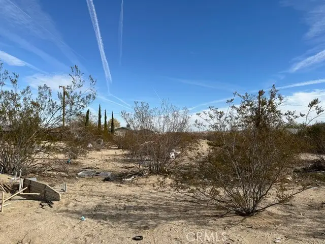 6325 Palm View, Twentynine Palms, CA 92277 - #3