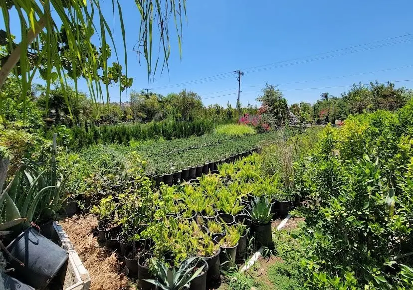 9045 56th Street, Riverside, CA 92509 - #3
