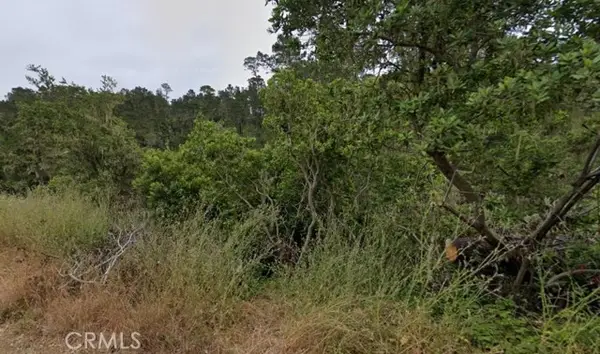 2977 Ramsey Road, Cambria, CA 93428