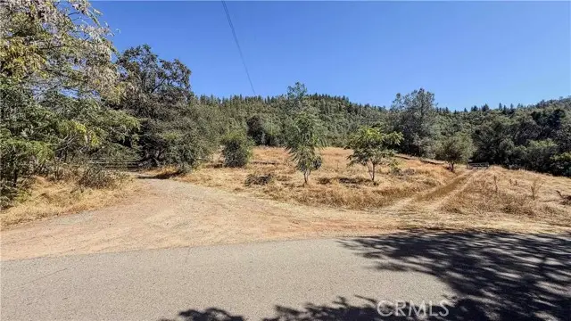 16125 Vierra Road, Rackerby, CA 95972 - #3