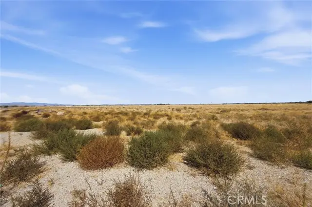 50 50th Ste HWY W, Pearblossom, CA 93553 - #2