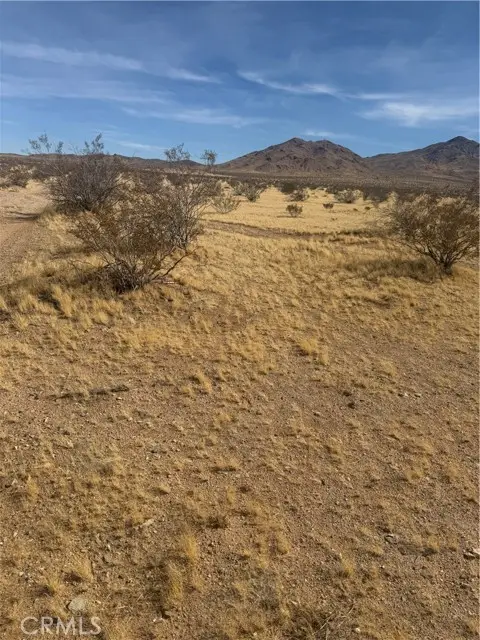 0 Chambray Street, Oro Grande, CA 92368 - #3