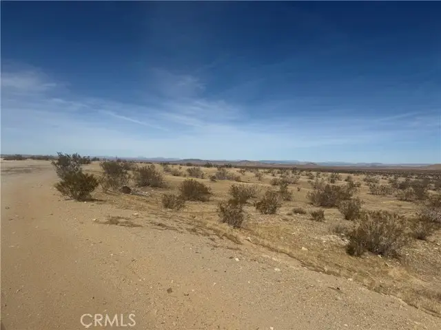 0 Beechwood, Oro Grande, CA 92368 - #2