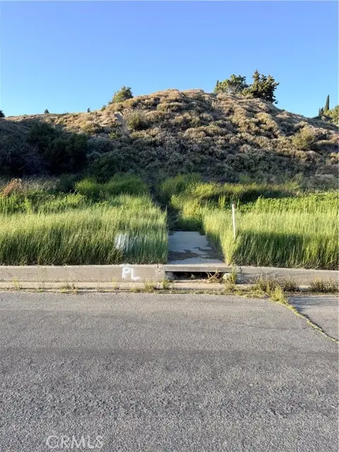 0 Kiptree, Lake Hughes, CA 93532 - #3